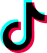 TikTok Icon